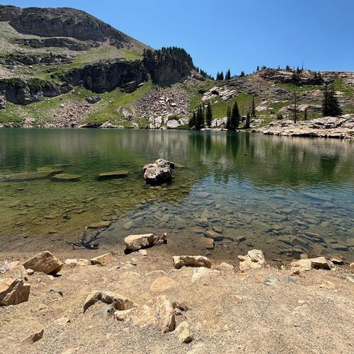 Freezer My Neck (Explicit)