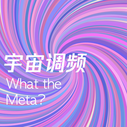 What the Meta 宇宙调频