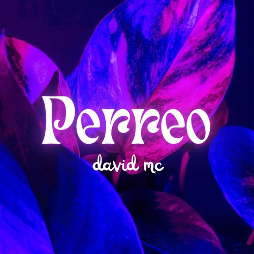 Perreo (Explicit)