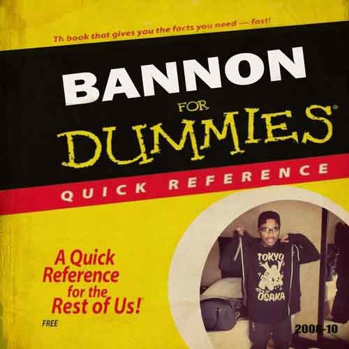 Bannon for Dummies