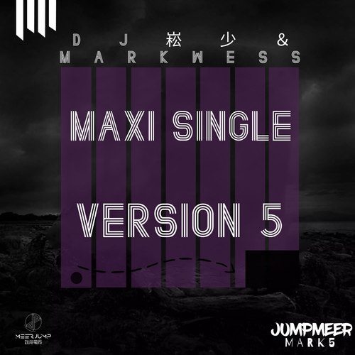 Maxi Single Version 5