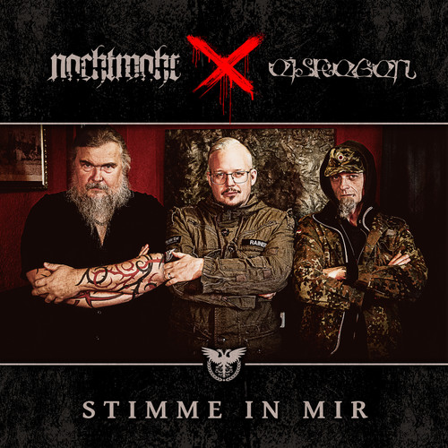Stimme in mir (Antisozial ICD-10 F60.2) [Explicit]