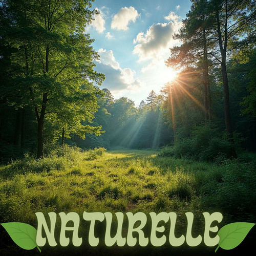 432 Hz - Balance Your Chakras & Activate Higher Consciousness with Celestial Sounds