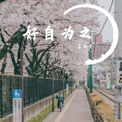 李老飘的翻唱集