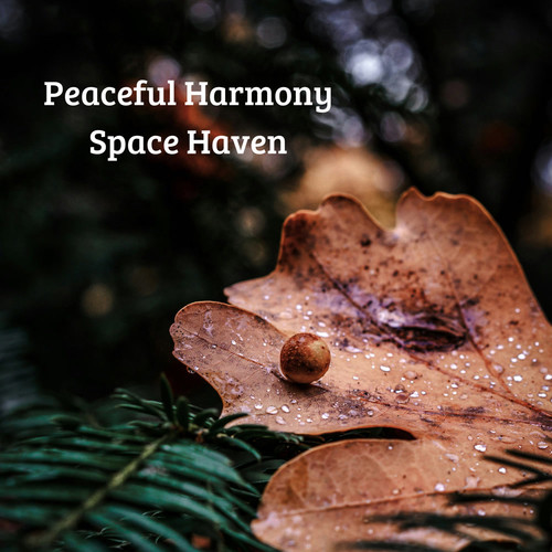 Peaceful Harmony Space Haven