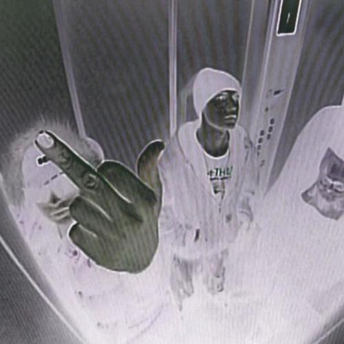 PINK FLOYD (Explicit)