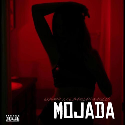 MOJADA (feat. SEBASTIAN GATILLO) [Explicit]