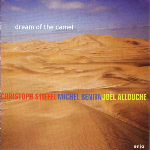 Dream of the Camel