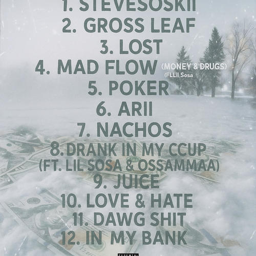 MAD FLOW (Money And Drugs) (feat. Lil Sosa) [Explicit]