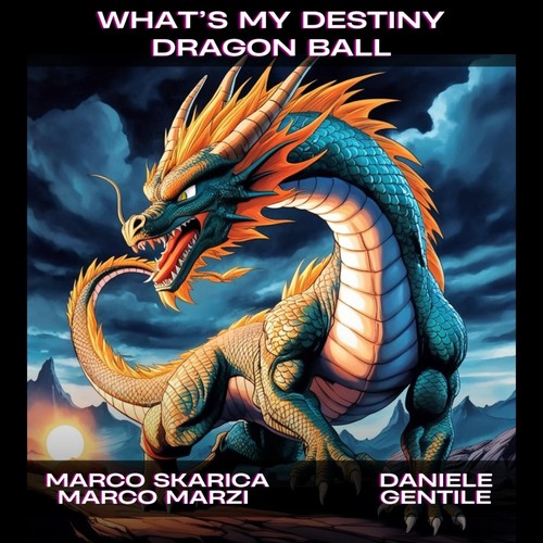 What's my destiny Dragon Ball