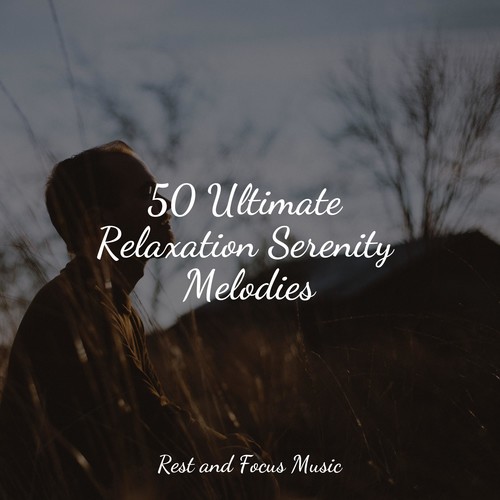 50 Ultimate Relaxation Serenity Melodies