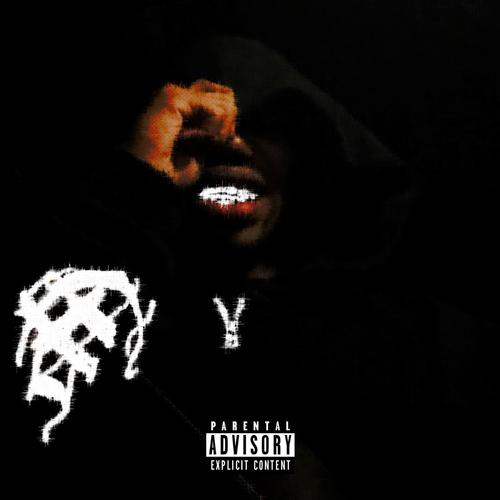 RichJunkieMusik (Explicit)