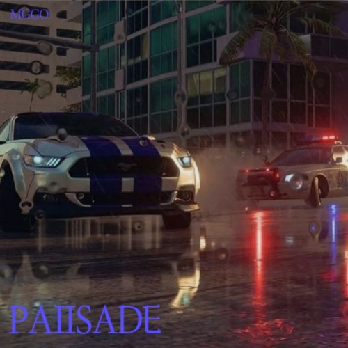 PAIISADE（路障）