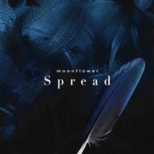 Spread (传播)