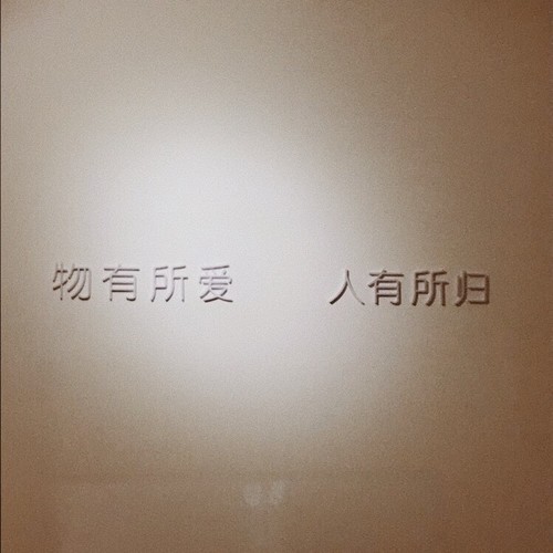 心宇