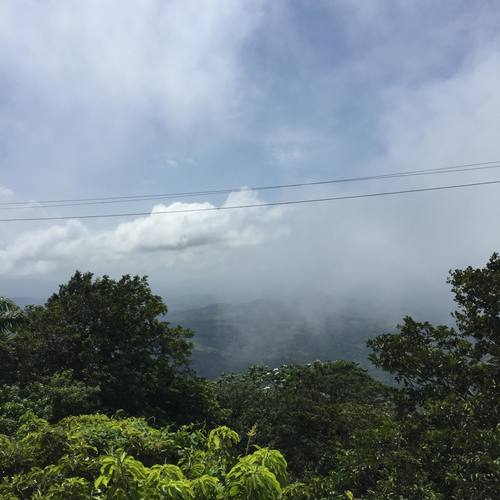 silver coin interlude