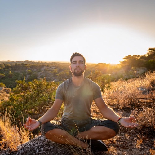 Sonidos Lofi Reflexivos Para Meditación Zen