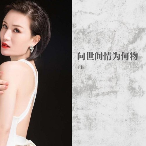 问世间情为何物