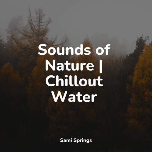 Sounds of Nature | Chillout Water