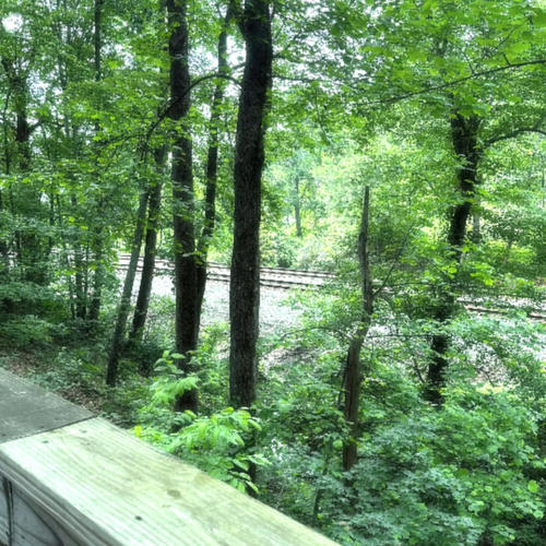 Temporary (feat. Travdidthat)