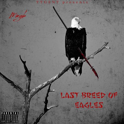 Last Breed Of The Eagles (Explicit)