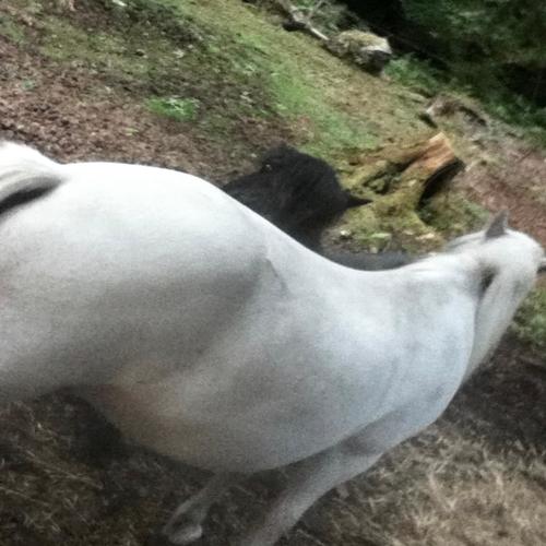 twenty three (feat. Llondon actress) [Explicit]