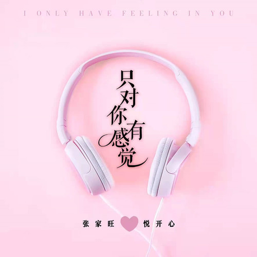 只对你有感觉 (DJR7版)