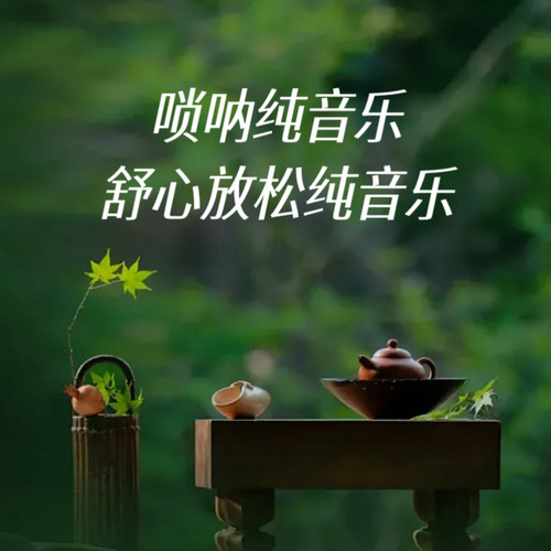 唢呐纯音乐：舒心放松轻音乐