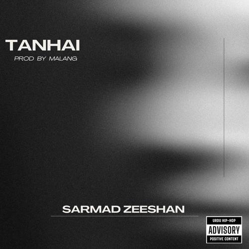 Tanhai (feat. prod.malang) [Explicit]