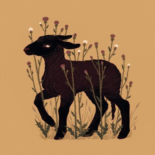 Black Sheep (EP) [Explicit]