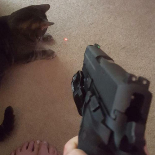 PAKK GOT YOUR NOSE? (PAKKMAN 3)