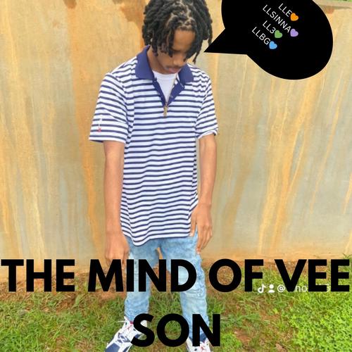 THE MIND OF VEE SON