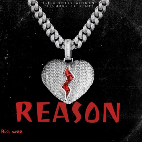 Reasons