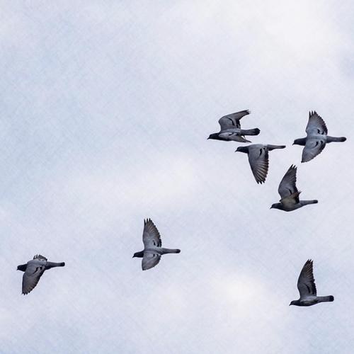 A Través Mio (feat. Sudakillah) [Explicit]