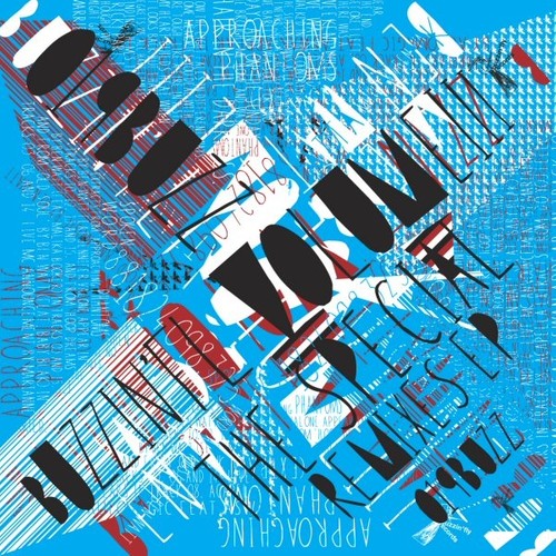 Buzzin' Fly Vol 3 (The Special Remixes)