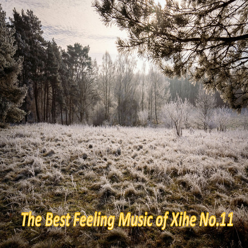 The Best Feeling Music of Xihe No.11