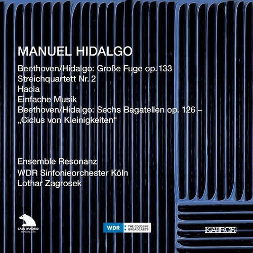 Manuel Hidalgo: Beethoven