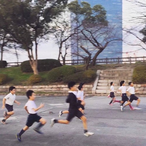 安德烈小姐朱蕉