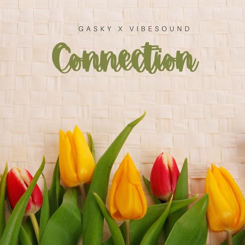 Connection (feat. Vibesound)