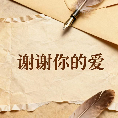 谢谢你的爱（超燃版）