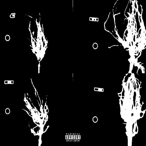 WHAT TO SAY (Explicit)