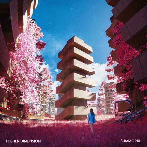 Higher Dimension