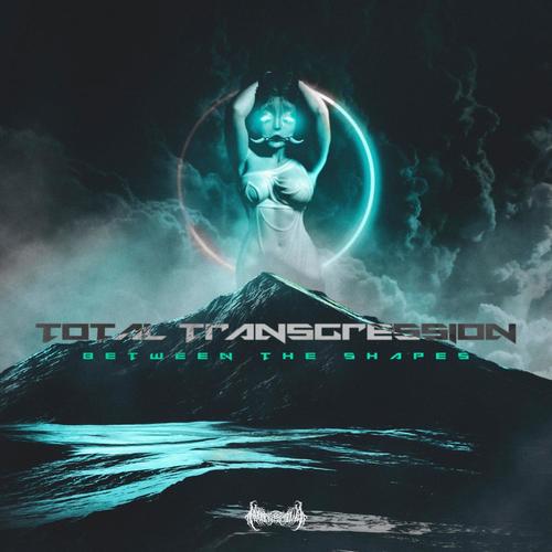Total Transgression Ch. 1.5.: Between The Shapes