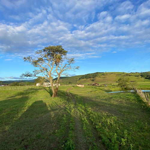 I'm In Love With You But Survive Is Wrong (Explicit)