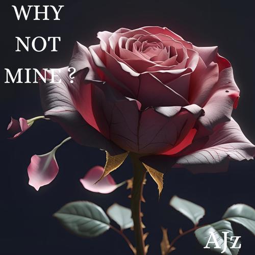 WHY NOT MINE ? (Explicit)