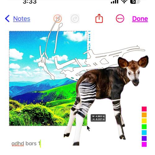 adhd bars 1 (Explicit)