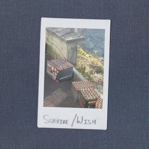Survive/Wish (Explicit)
