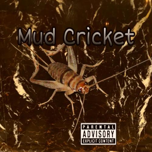 Mud Cricket (Explicit)