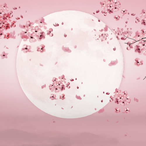 月亮代表妈妈的心