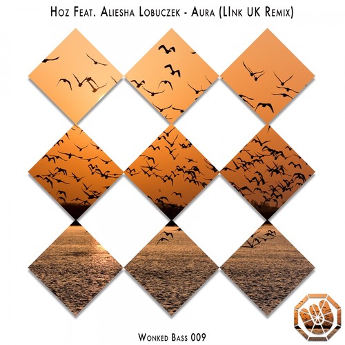 Aura (LInk (UK) Remix)